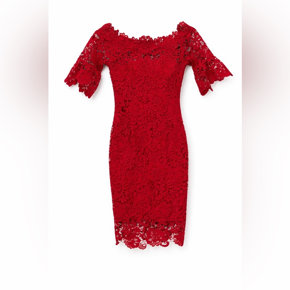 Paper Dolls London Red Lace Off-Shoulder Bodycon Cocktail Floral Lace Dress- 0 P - Picture 4 of 16